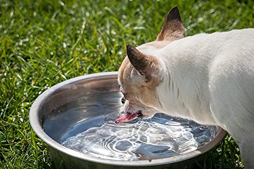 Bosky 2-Pack Stainless Steel Dog Bowl 8.8" Wide, Replacement Feeder Bowls | fits feeder with hole opening 8.2"-8.7" , Pet Metal Food and Water Dish - size: 8.9" (2-Pack)
