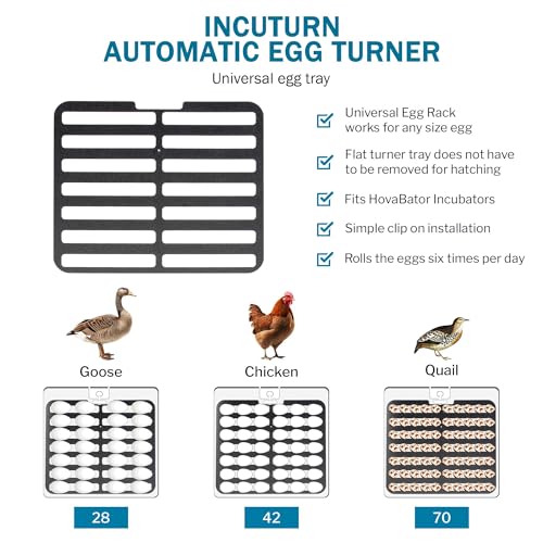 HovaBator 2370 Starter Egg Incubator Kit (Add Quail Tray, No Auto Humidity System) - size: Add Quail Tray, style: No Auto Humidity System