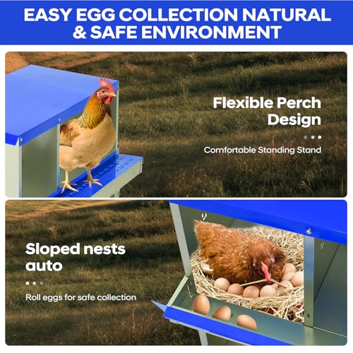 GarveeLife Chicken Nesting Box, 6 Compartments Nesting Box for Chickens, Two-Tier Galvanized Steel Chicken Egg Laying Box with Large Vented Holes Wall Mounting for Easy Egg Collection - color: Blue | 6 Compartments