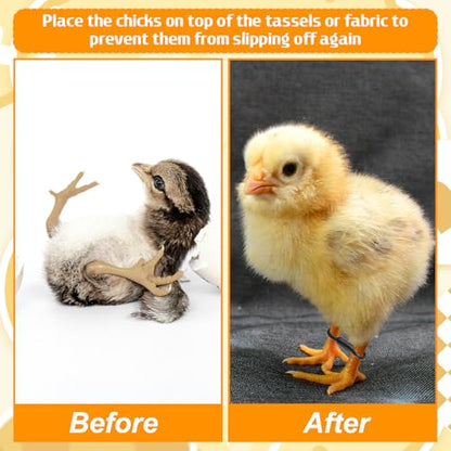100 Pcs Baby Chicken Splay Leg Hobble Braces, Adjustable Poultry Leg Bands for 1-3 Days Newly Hatched Chicks, Quails, Ducks, Practical Spraddle Legs Repair Support Straps for Newborn Poultry (Black)