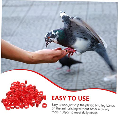 Mipcase 100 Pcs Pigeon Foot Band Rings 10mm Plastic Bird Leg Bands for Identification Suitable for Pigeons Chickens and Other PET Birds - color: Red