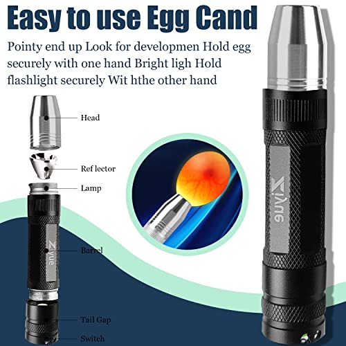 Egg Candlers for Chicken Eggs, 2026 New Egg Candling Light Tester Lamp Egg Checker Incubator for All Chickens Ducks Quail Dark Eggs 【Upgraded USB Charger】 - color: Black