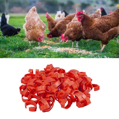 SUNGOOYUE 100 Pcs Chicken Leg Rings Plastic Numbered Poultry Identification Bands Clip On Round Ankle for Chickens Ducks Hens Breeders Farm Flock Tracking (100Pcs Red Rings with Number Markers) - color: 100pcs Red Rings With Number Markers