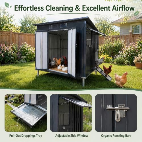 Outdoor Chicken Coop, Pull Out Waste Trays, Raised Base & Ventilated Window