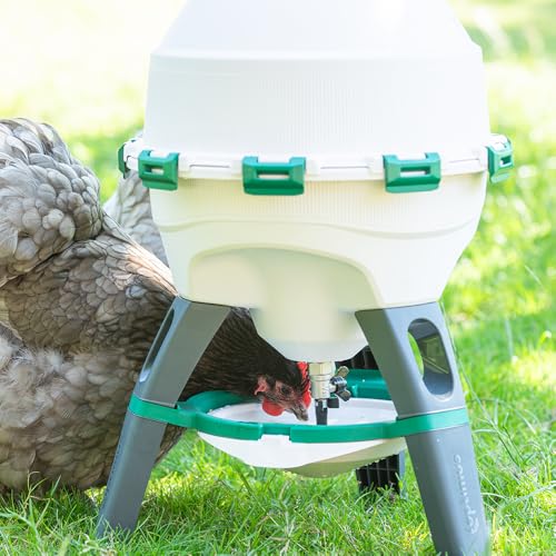 Premier 1 Optimus High Capacity Poultry Waterer for Chickens, Ducks & Geese | 6 Gallon, Top Fill, Gravity Fed