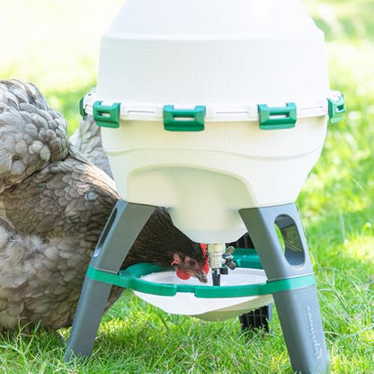 Premier 1 Optimus High Capacity Poultry Waterer for Chickens, Ducks & Geese | 6 Gallon, Top Fill, Gravity Fed