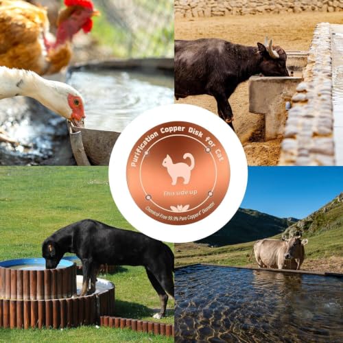 Copper Waterer Cleaning Disc, All Season Livestock Water Purifier Tray Keeps Water Clean for Poultry, Dogs & Cattle - size: cat