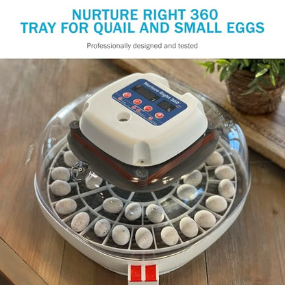 Durable Egg Tray for Nurture Right 360 Egg Incubator, 48 Quail/Bird Eggs - size: 12.3"L x 12.3"W x 0.7"H