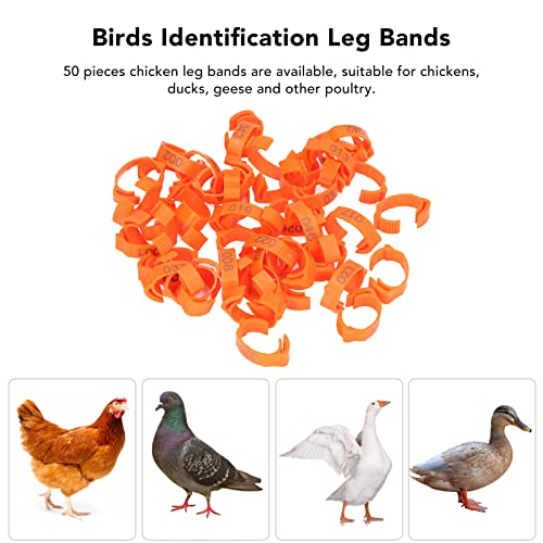 50PCS Pet Leg Rings Numbered Clip On Identification Bands, Reusable Bird Leg Rings for Chickens Ducks Pigeons Geese, Adjustable Plastic Leg Bands with Numbers 1-50 for Easy Anima