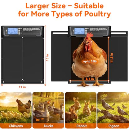 Automatic Chicken Coop Door Large Size, 7W Solar Powered with Timer & Light Sensor, Anti-Pinch Safety Chicken Door, Remote Control, Predator-Proof Aluminum Door for Poultry, Ducks & Chickens