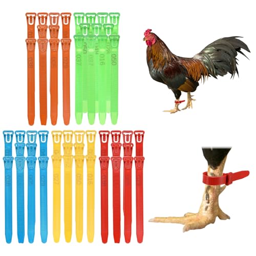 Generic 50-Pack Adjustable Chicken Leg Bands, 10-28 mm Plastic Poultry Identification Chicken Leg Rings for Turkey/Duck/Goose/Chicks, Colorful Numbered Foot Clip on Tags [Multicolor]