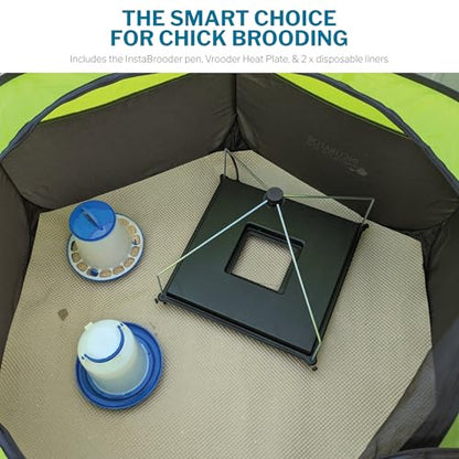 Insta Brooder™ with Vrooder™ Heater Plate - Chicken Pop Up Playpen with Removable Mesh Top - Portable and Foldable Chicken Pen - Indoor Brooder Box for Chicks (36 x 36 x 18 inches)