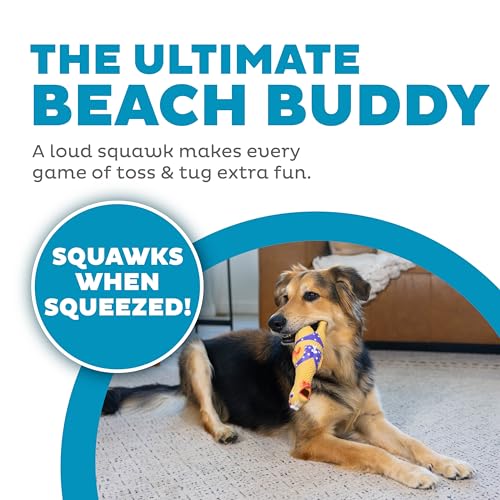 Outward Hound by Charming Pet Squawkers Henrietta Latex Squeaky Rubber Chicken Dog Toy, Funny Interactive Holiday Toy for Dogs, Large Size - color: Henrietta, size: Large