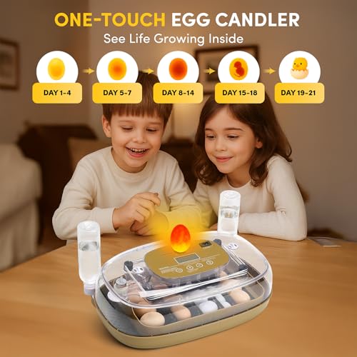 HIRALIY Incubator for Hatching Eggs, 48 Quail Capacity, Chicken & Quail Egg Incubator with Automatic Egg Turning and Humidity Control, 360° Viewing for Home, Farm, Classroom