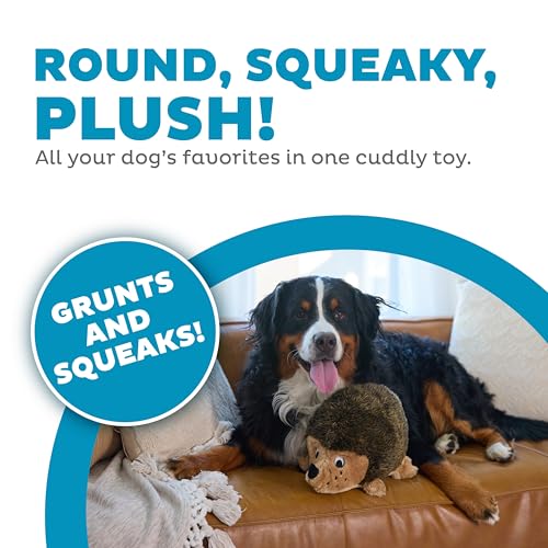 Outward Hound Hedgehogz Stuffed Dog Toy – Soft Plush Hedgehog, Grunts & Squeaks, XL, 12" x 8.5" x 9" - size: X Large (Pack of 1)