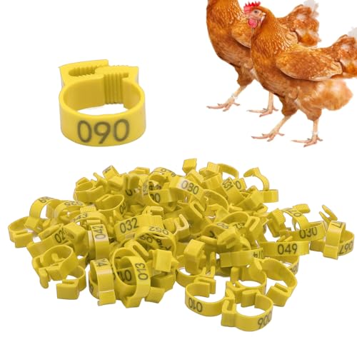 100PCS 20mm Chicken Leg Bands, 001 to 100 Numbered Colorful Chicken Birds Poultry Identification Leg Bands for Chicks Ducks Pigeons Goose Quail Yellow (Yellow) - color: Yellow