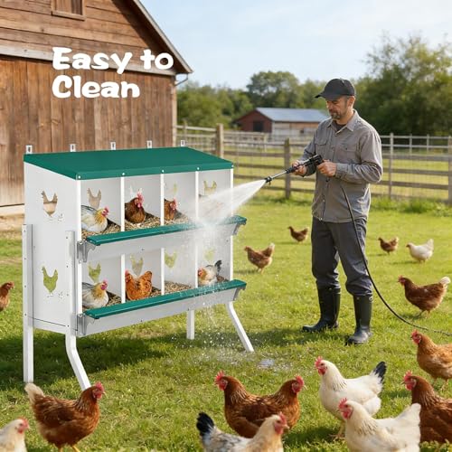 Wall Mounted Chicken Nesting Box – Weather Resistant Galvanized Steel Poultry Nest with 10 Absorbent Pads & 4 Fake Eggs, Egg Roll-Away System & Protective Lid for Coop, Barn, Backyard Hen House - size: 8 Room&Mat eggs
