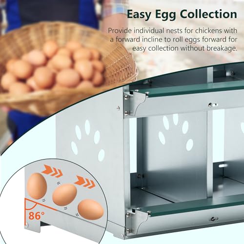 4 Compartment Heavy-Duty Galvanized Steel Chicken Nesting Box - Wall Mounted Anti-Peck Design with Removable Panel for Easy Cleaning, for Hens & Poultry