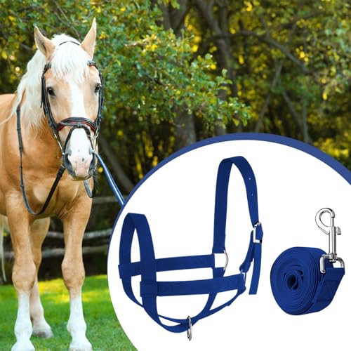 Qianly Cattle Traction Halter Bull Bridle Cow Halter with Leading Rope Adjustable Livestock Nylon Calf Halter for Animal Training Harness and Suitable for, L