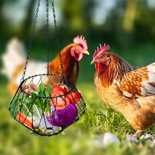 Hanging Chicken Feeder Accessories, Coop Must Haves -Foldable 6.5Inch Large Poultry Vegetable Fruits Chicken Treat Dispenser with 3pcs Hanging Chain,Chicken Toys for coop (Chicken Feeder 1 Pack)
