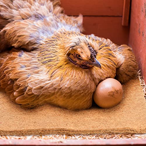 Aoriher 24 Pack Natural Hemp Chicken Nesting Pads Reusable Hens Bedding Mats Chicken Nesting Box Liners for Hen Laying Eggs, Coop Pet Garden Lawn Indoor Outdoor, 11.8 x 11.8 Inches