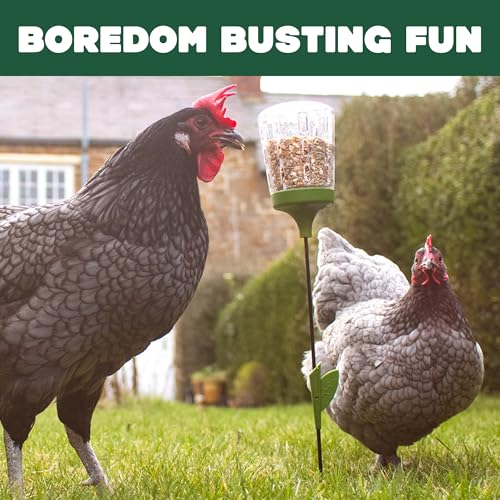 Omlet Poppy Chicken Peck Toy | Interactive Foraging & Pecking Enrichment Toy for Hens | Slow-Feed Treat Dispenser | Reduces Boredom & Feather Pecking | 300g Feed Capacity | 2 Designs - style: Poppy