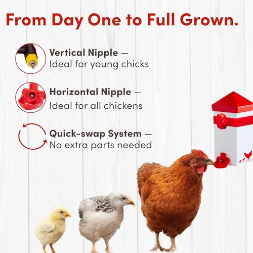 RentACoop 32oz (1 Liter) Chicken Drinker with 2 Versatile Nipples - Ideal for Baby Chicks, Quail, Small Birds, and Ducklings - Easy-to-Use Chicken Waterer Solution - Ideal for Coops and Cages