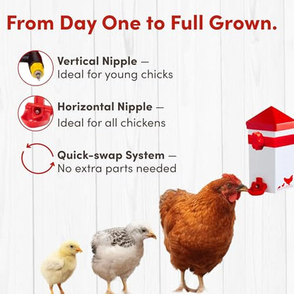 RentACoop 32oz (1 Liter) Chicken Drinker with 2 Versatile Nipples - Ideal for Baby Chicks, Quail, Small Birds, and Ducklings - Easy-to-Use Chicken Waterer Solution - Ideal for Coops and Cages