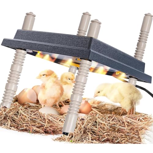 Chick Brooder Heating Plate, 10" x 10" Chick Incubator Heating Lamp, Adjustable Angle and Height Chick Brooder, Safe Incubators With Easy Clean Plate for Chicks/Ducks Thermostat for 15 Chicks (Black)