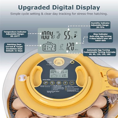 Egg Incubator, 26 Chicken/59 Quail Eggs Incubators for Hatching Eggs with Temp & Humidity Control, Auto Egg Turner, Adjustable Hatch Day & Air Vent, Egg Candler, Auto Water Refill, 360° Clear View - size: 26 Chicken Eggs