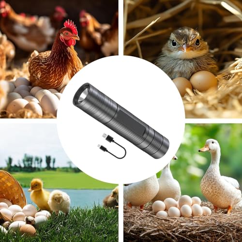 Egg Candler Light - 3 Levels High-Sensitivity LED, Egg Candler Tester, Lamp Tester | Candling Lamp for Winter Hatching Chicks Laying Poultry Outdoor Indoor Farm