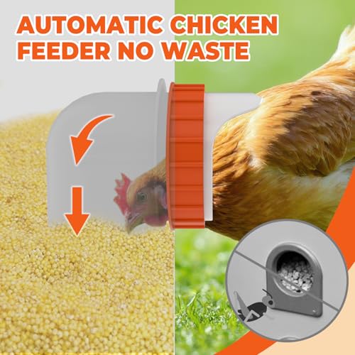 6 Ports Automatic Chicken Feeder 85 Pounds Large Gravity Fed Chicken Feeder with Latch & Handle for Chickens Bantams Pheasants Poultry Coop Weatherproof - size: 6 Ports (85-120 LBS)