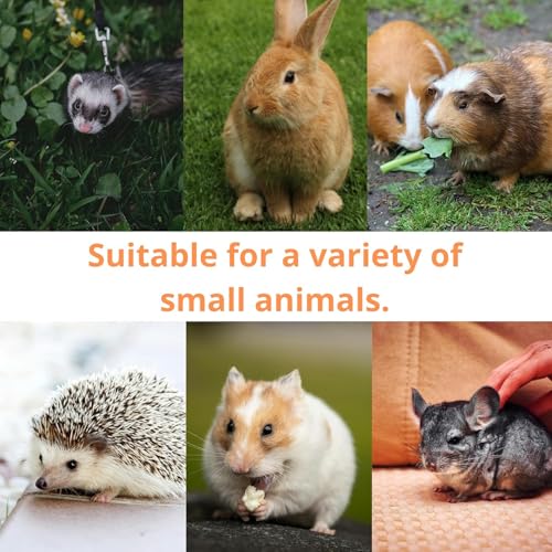 Ferret Interactive Toy Slow Feeding Dry Food Treat Balls Enrichment Toys for Small Animal Cats Guinea Pig Rat Chinchilla Hedgehog Bunny (1PC,Red) - size: 1PC