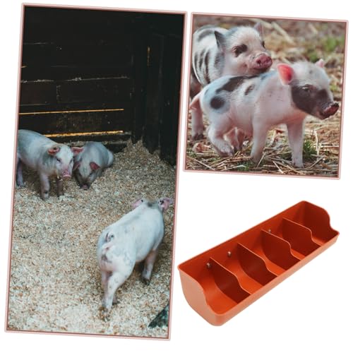 Plastic Pig Feeding Trough Compartment Design for Wet and Dry Food Feeding Tool for Pigs for Farm Supply and