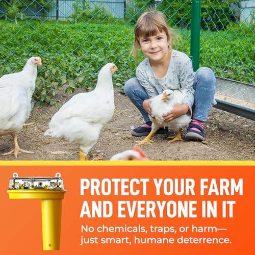 Solar Foxlights Predator Deterrent 9-LED Night Wildlife Repeller with 360° Coverage, Random Flashing Colors – Humane, Solar or Battery-Powered Protection for Chickens, Goats, Gardens Farms & Vineyards - style: Solar Powered