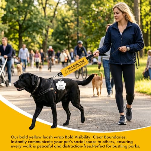 Dog Reactive Leash Wrap, Training in Progress Yellow Warning Sleeve with Heart Snap Hook, Highly Visible Lead Cover for Nervous & Anxious Pets, Durable Double-Sided Canvas - color: Dog Reactive