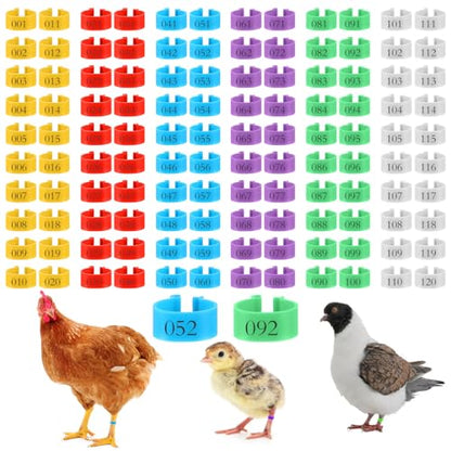 240 Pcs 20mm Plastic Chicken Leg Bands, Color-Coded Leg Bands for Chickens & Farmers