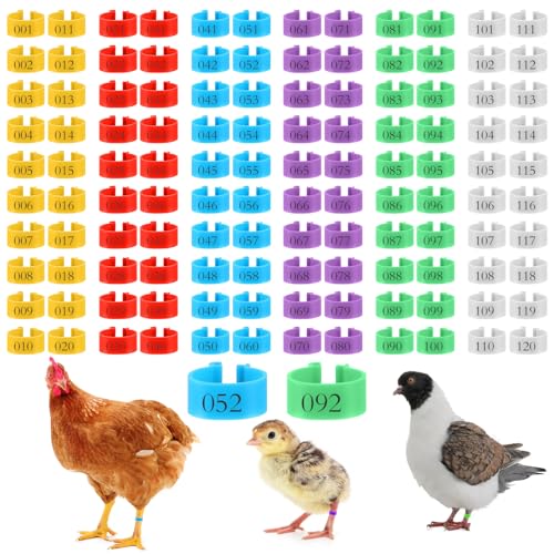 240 Pcs 20mm Plastic Chicken Leg Bands, Color-Coded Leg Bands for Chickens & Farmers