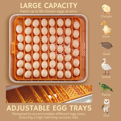 iPettie ProHatch56 Egg Incubator for Hatching Eggs with Automatic Egg Turning & Humidity Temperature Control, 56 Eggs Capacity for Chicken Eggs, Duck Eggs, Quail Eggs, Temperature Alarms