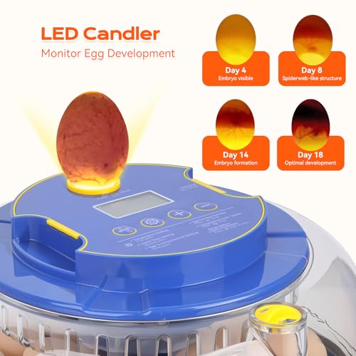 18 Egg Incubator, for Hatching Eggs with Automatic Egg Turner, Temperature & Humidity Control, Built-in Egg Candler, Ventilation, Incubation Days Display, for Chicken, Duck, Goose and Quail Eggs