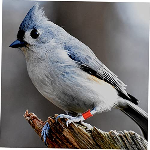 YARNOW 100pcs Sturdy Pigeon Tracking Accessories Aluminum Leg Bands for Racing Birds Random Color