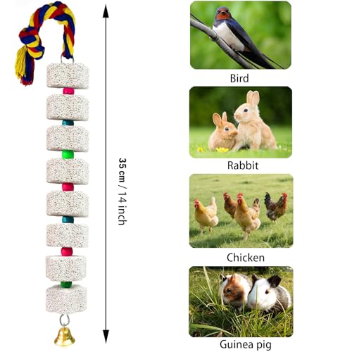 2 Pack Mineral Block Chicken Chewing Toy, KABASI Bird Beak Grinding Calcium Stone with Bells, Chicken Coop Accessories for African Grey, Budgies Cockatiels Parrot Hens Geese Ducks Hamster Rabbit