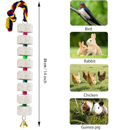 2 Pack Mineral Block Chicken Chewing Toy, KABASI Bird Beak Grinding Calcium Stone with Bells, Chicken Coop Accessories for African Grey, Budgies Cockatiels Parrot Hens Geese Ducks Hamster Rabbit