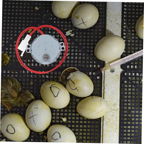 HEMOTON Egg Turner Motor Essential Incubator Motor for Improved Hatching Efficiency Quiet Operation and Precise Egg Rotation for Incubators