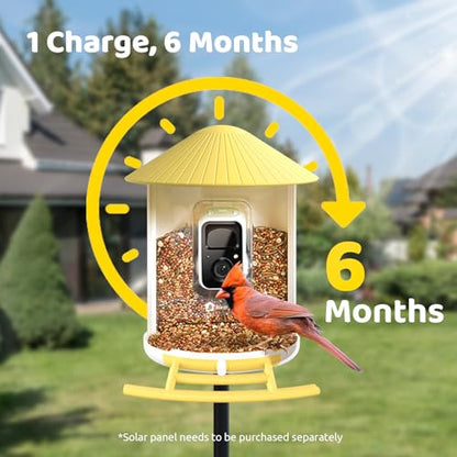 NETVUE by Birdfy AI Smart Bird Feeder with Camera, AI Auto Capture Each Bird Visit & Identify 6000+ Species, Cloud Store & Live Birdwatching, Ideal Gift (Yellow) - color: Yellow, style: AI