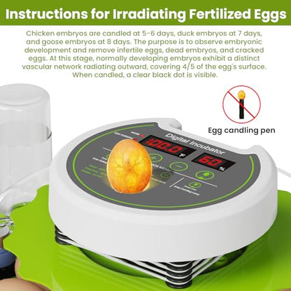 18-Egg Incubator with Automatic Egg Turning & Humidity Control, HD Panoramic View, Built-in Candler for Hatching Chicken, Duck, Quail Eggs Farms, Science Labs, Classroom, Home Use