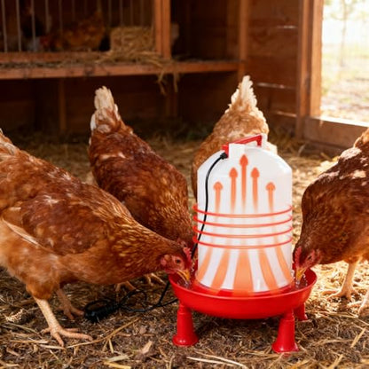 Heated Chicken Waterer, Integrated Temperature Chicken Water Heater with Handle for Chicken Coop, Poultry Water Dispenser for Winter (6, Liters)