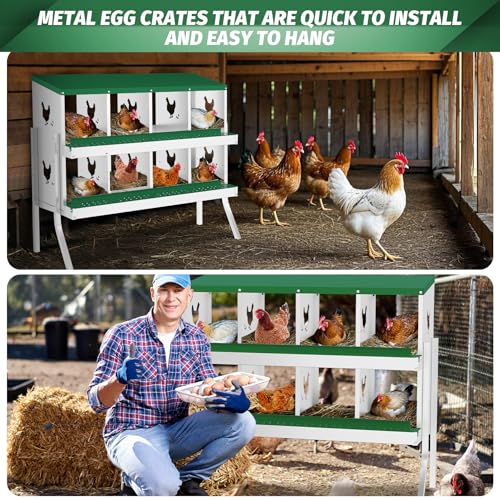 IDEALHOUSE Chicken Nesting Box, Galvanized Steel Laying Box with Rustproof & Roll-Away Egg Design, for Hens, Green 8 Compartment with Bracket - color: Green, size: 8 compartments (with bracket)