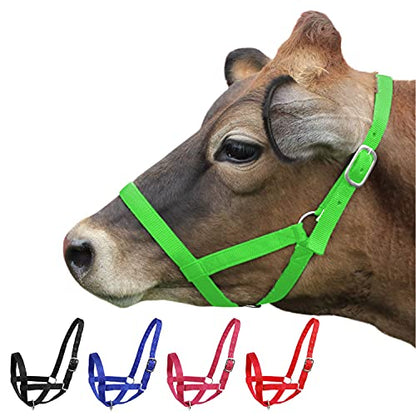 Derby Originals Adjustable Nylon Livestock Cattle Halters - color: Lime Green, size: Large (800-1400lbs)