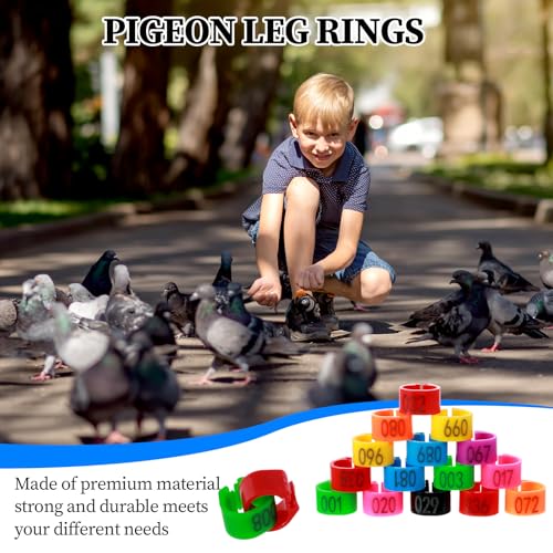 100PCS 8mm Chicken Leg Bands, Plastic Chicken Leg Rings with 8 Colors, Numbered Quail Bird Leg Bands Identification, Ankle Ring for Bantam Finch Dove Lovebird Coturnix Quail Duck Small Birds Supplies
